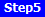 Step5